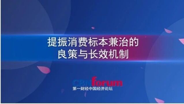 提振消费标本兼治的良策与长效机制‖中国经济论坛【完整节目视频】