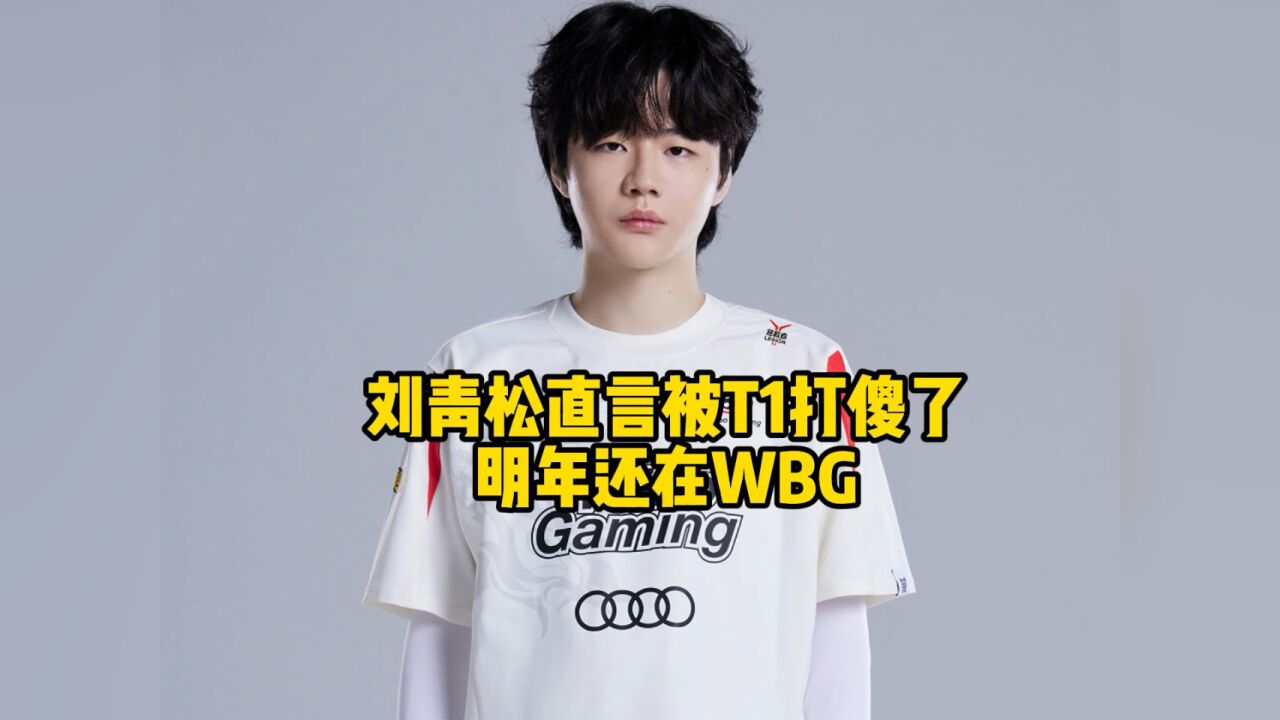 刘青松直言决赛被T1打傻了,不选红色方有原因!明年继续在WBG_腾讯视频