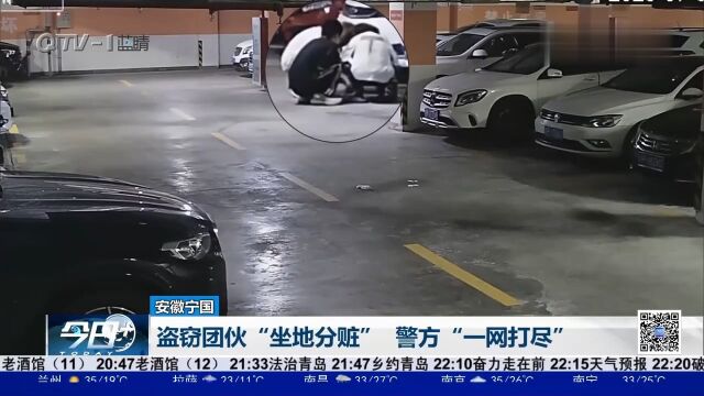 深夜拉车门碰运气,盗窃团伙“坐地分赃”,警方“一网打尽”