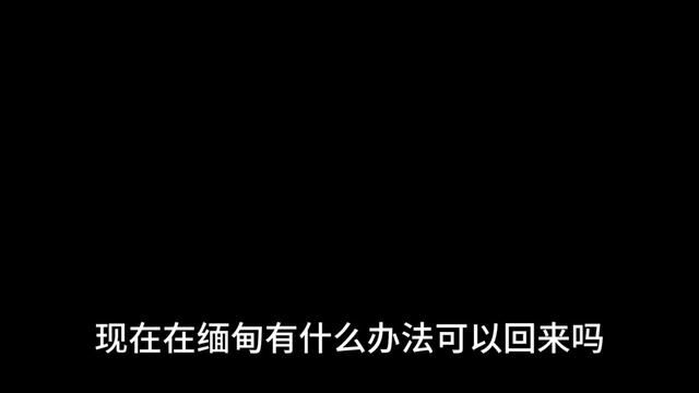 现在在缅甸有什么办法可以回来吗