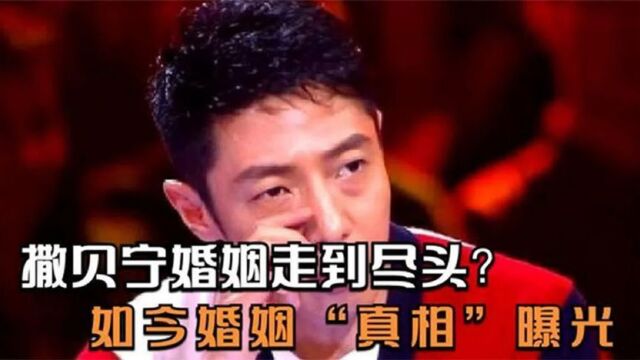 撒贝宁婚姻破裂走到尽头?娶洋妻生龙凤胎,如今婚姻“真相”曝光