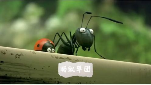 《蚂蚁军团》#动画片 #昆虫总动员 #微观小世界