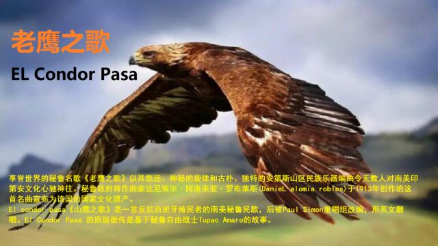 El Condor Pasa《老鹰之歌》 世界名曲(秘鲁》