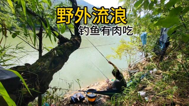 钓不到鱼,全靠运气!野外垂钓第十一天,结果就钓了几条鱼!