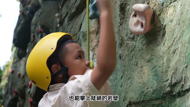 雨林攀岩绝壁芭蕾