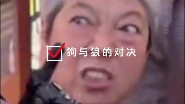 狗与狼的对决