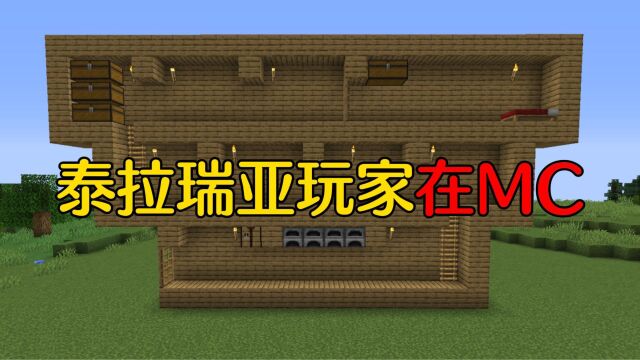 【MC】当玩泰拉瑞亚的朋友改建你的房子!