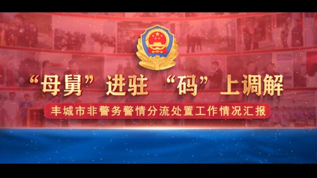 丰城市非警务警情分流汇报视频