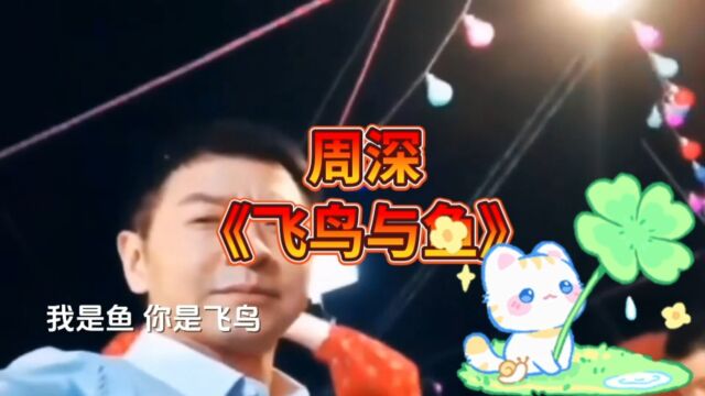 周深演唱《飞鸟与鱼》,清澈的水如声音好听