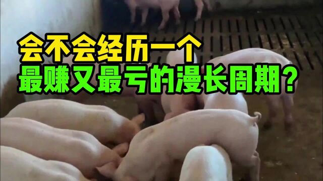 猪周期“疯狂” 养猪行业,会不会经历最赚又最亏的漫长周期?