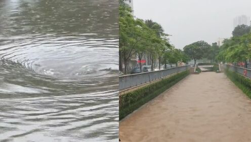 深圳分区暴雨红色预警信号生效中 河水暴涨 下水道变旋涡