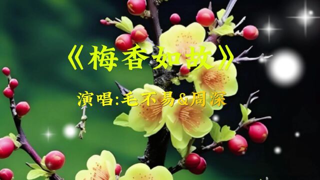 《梅香如故》演唱:毛不易&周深