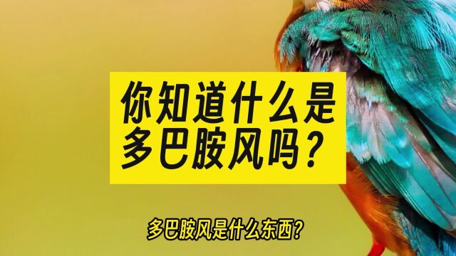 网上人们常说的多巴胺风是什么?和美拉德又有什么关系呢? 热点 闲聊 知识