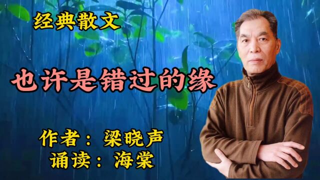 经典散文诵读:《也许是错过的缘》作者:梁晓声