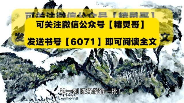 我一魔术师会点魔法很合理吧(陈锋)◇全文TXT在线阅读