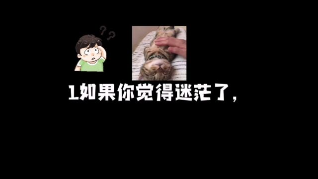 迷茫的你必看的人生建议