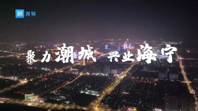 重磅!今天,431亿元重大招商引资项目签约!海宁首次颁发这项荣誉→