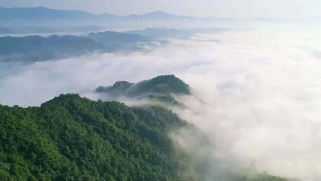 专题记录:茅箭“最美检察保水人”的使命与担当