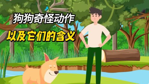 宠物知识揭秘，你的狗狗经常做的动作以及它的含义，它们的心里到底是怎么想的_高清1080P在线观看平台_腾讯视频