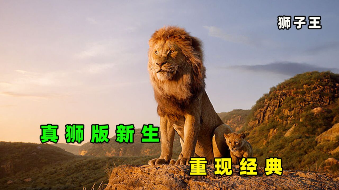 王者归来，决战刀疤，为父报仇《狮子王》_高清1080P在线观看平台_腾讯视频