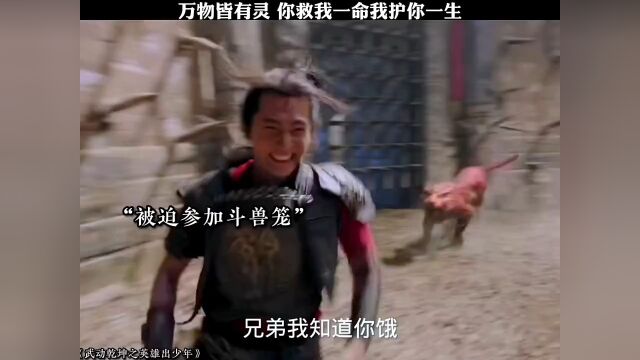 武动乾坤之英雄出少年.