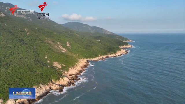 广东多方合力打造和美海岛,全面推进海岛经济发展