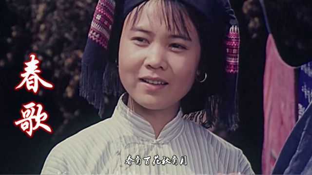 美妙的音乐醉人心扉,雷婷一首《春歌》太美了,越听越上头