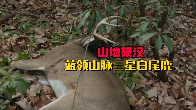 山地硬汉:猎人尤斯塔斯狩猎一头蓝岭山脉白尾鹿过冬