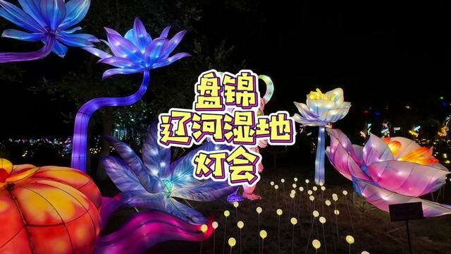 盘锦辽河湿地灯会攻略来喽~#湿地之都灯耀盘锦