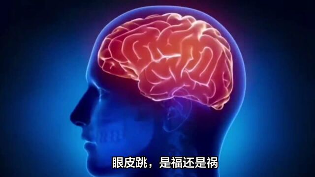 左右眼皮跳预示着吉凶,是真的吗?