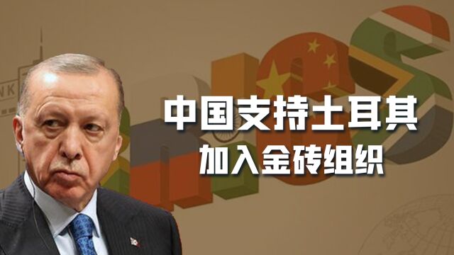 俄罗斯明年主办金砖峰会,中国表态:支持土耳其加入,有4点考虑