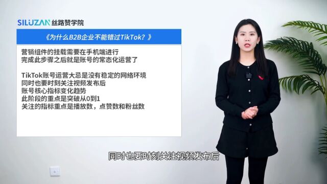 为什么B2B企业不能错过TikTok?