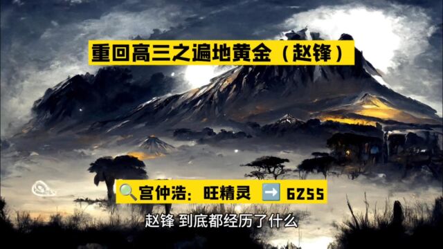 重回高三之遍地黄金(赵锋小说)全文免费阅读○无删减