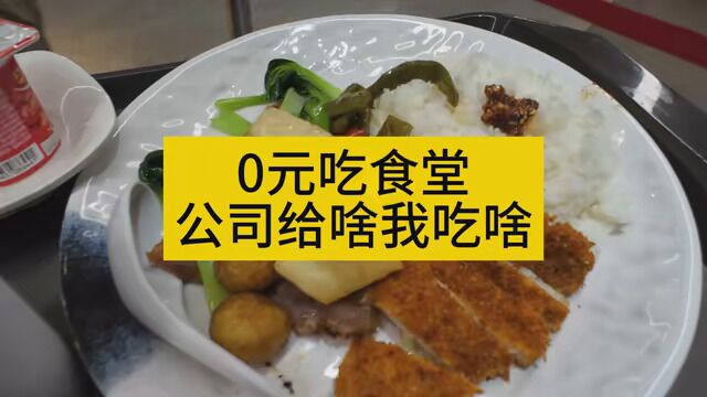 0元吃食堂,公司给啥我吃啥 #美食 #淦饭了淦饭了 #公司食堂