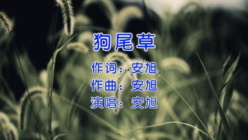 安旭《狗尾草》，那年，在网吧通宵单曲循环的一首歌！