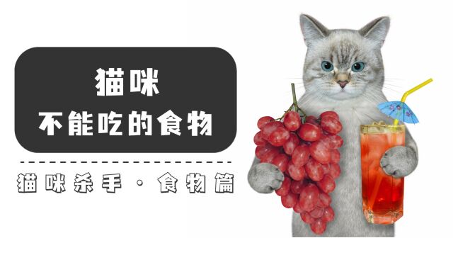 千万别给猫吃这些食物,中毒真的很危险!