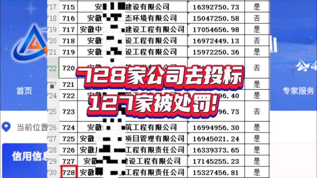 728家公司投标127家被罚,均存在出借资质行为,没收千万保证金