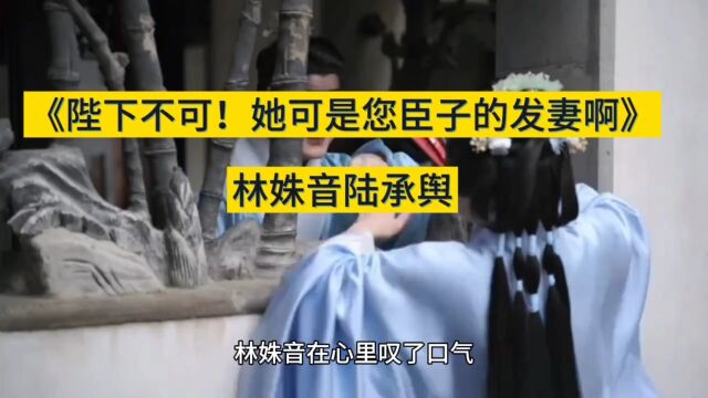 《陛下不可!她可是您臣子的发妻啊》林姝音陆承舆(完整/无删减)