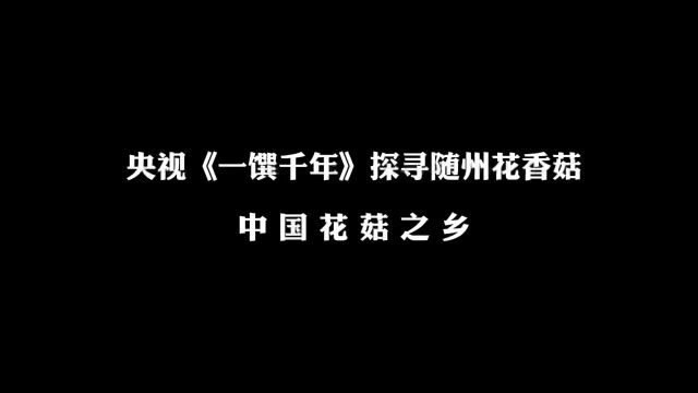 荟万珍:央视《一撰千年》探寻随州花香菇,舌尖上的美食!