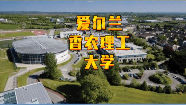 【爱尔兰留学】爱尔兰香农理工大学,国立院校,性价比超值,有专升硕预科,一年15万