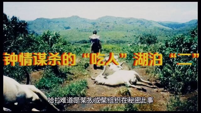 钟情谋杀的“吃人湖泊”“二”