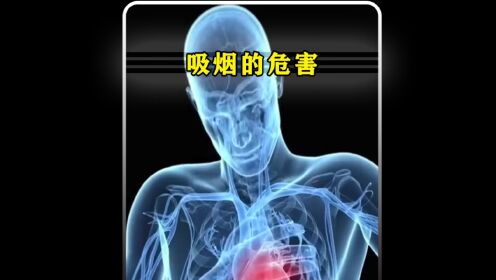 你真的知道吸烟的危害有多大吗？_高清