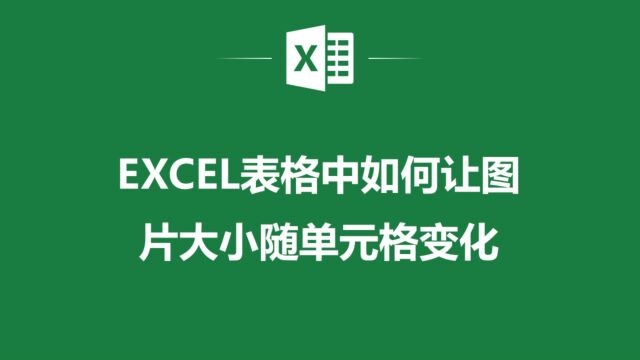 Excel图片大小随单元格变化,让你的表格更加美观整洁!