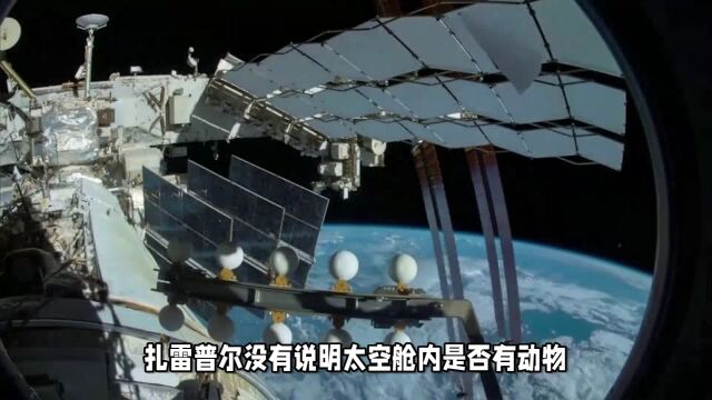 伊朗太空舱发射成功,距离载人航天又近一步