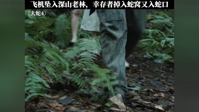 游客误闯荒岛遭遇巨兽,上演无人生还