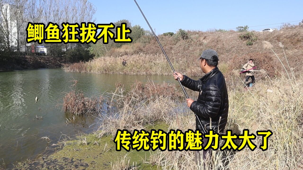这就是传统钓的魅力，12米炮竿钓鲫鱼，旁边大爷都投来羡慕的目光！_高清1080P在线观看平台_腾讯视频