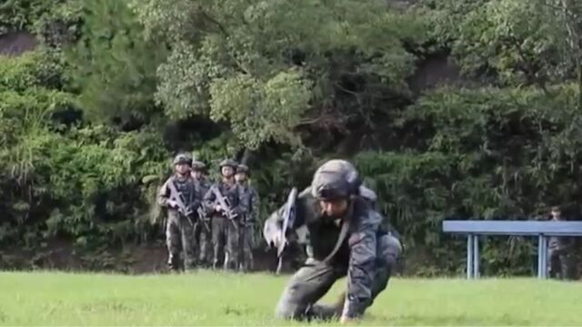 武警福建总队南平支队:为战选才,直击特战队员选拔