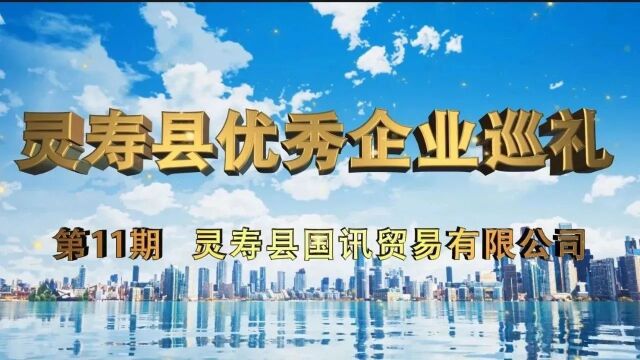 【灵寿县优秀企业巡礼】第十一期——灵寿县国讯贸易有限公司