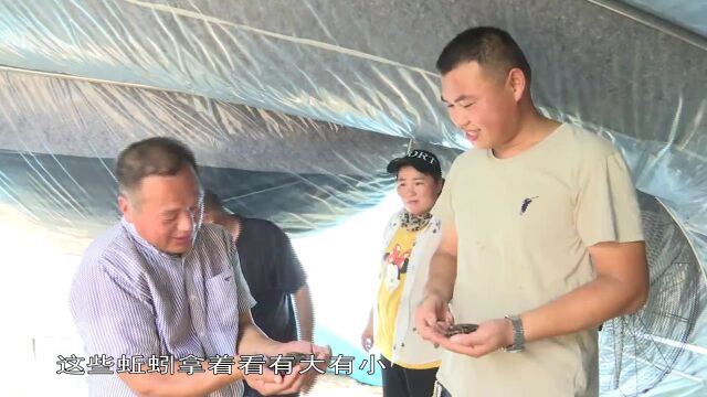 【纪录小康】石林乡:科技特派员成为乡村振兴“加速器”