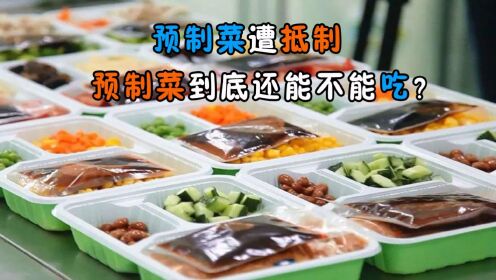 发展预制菜引起大风波,为何还要大力推广?预制菜还能不能吃?_高清1080P在线观看平台_腾讯视频
